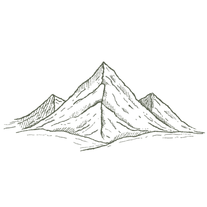The Snowdon
